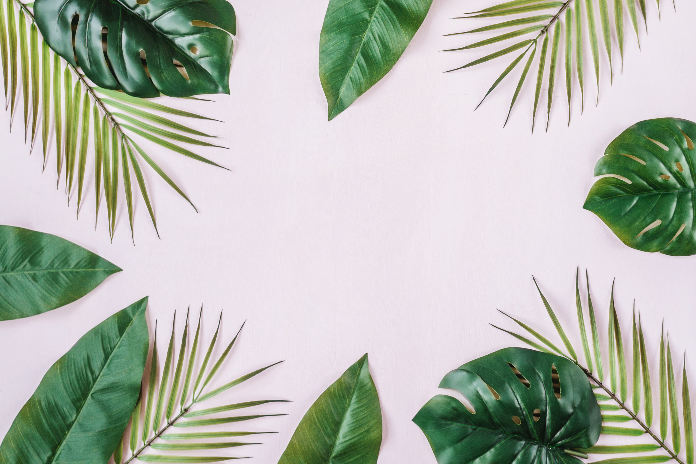 Tropical Jungle Leaves Background